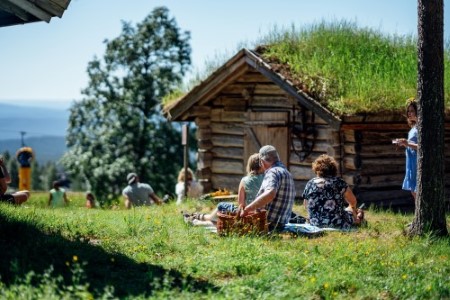 Midsommarfika.jpg